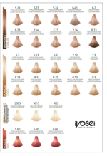 Tintura Iyosei luxury 60gr - Imagen 3